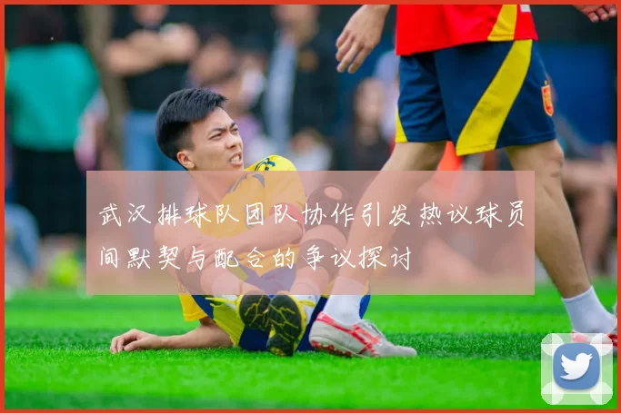 武汉排球队团队协作引发热议球员间默契与配合的争议探讨