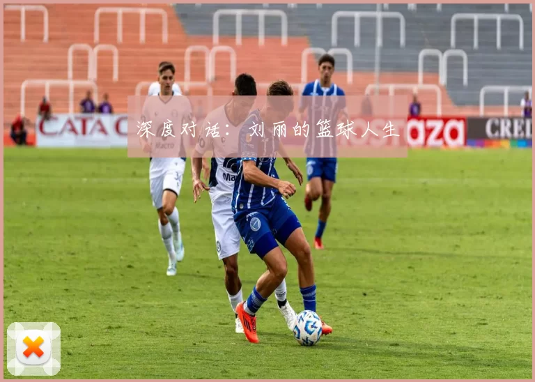 深度对话：刘丽的篮球人生