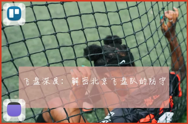 飞盘深度：解密北京飞盘队的防守