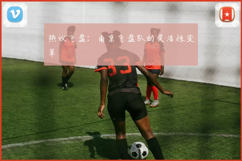 热议飞盘：南京飞盘队的灵活性变革