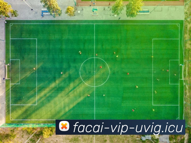 乐鱼体育平台生态图