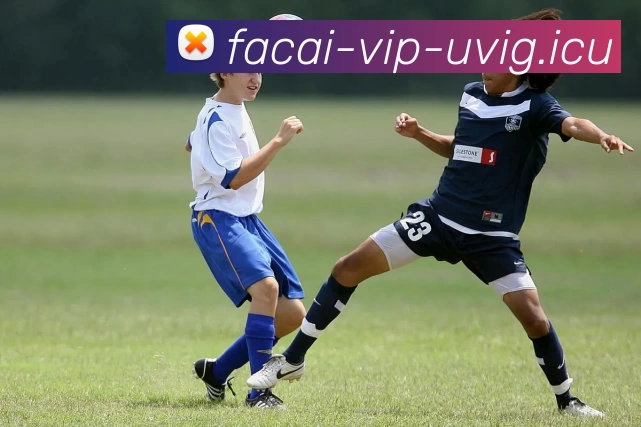 乐鱼体育全站App